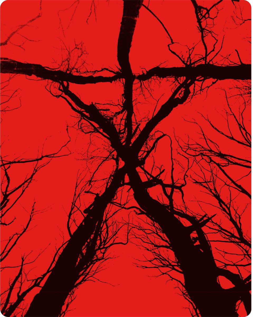 blairwitch_stlbk_2d